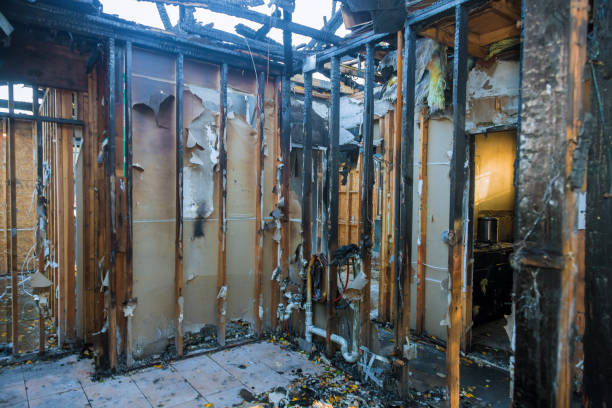 Professional Smoke Odor Removal technician working in Roebling, NJ